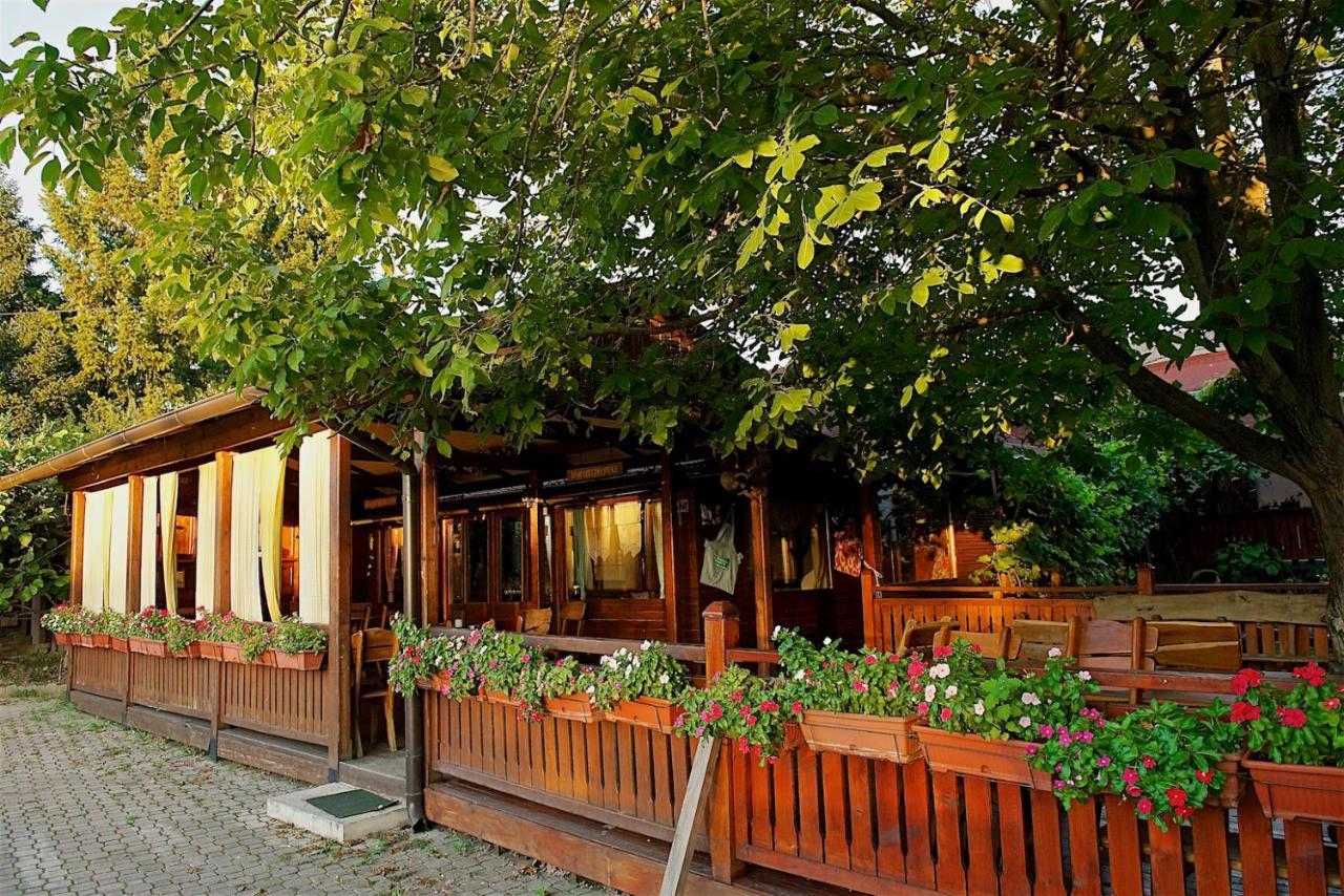 Vila Chess Белград Екстер'єр фото