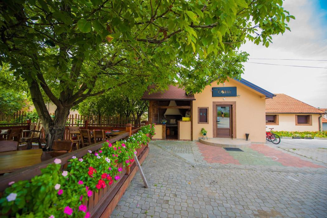 Vila Chess Белград Екстер'єр фото